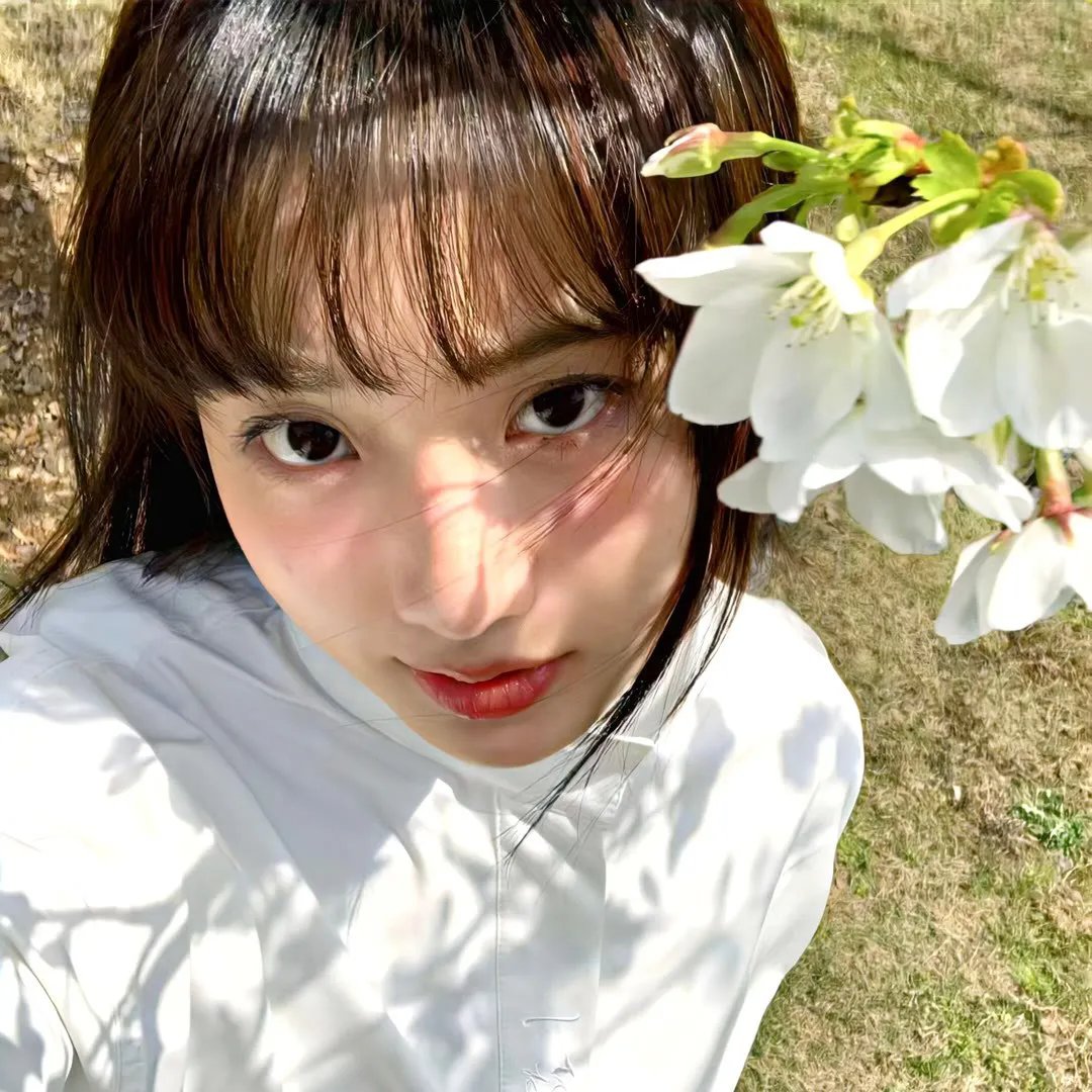 不死鸟之恋